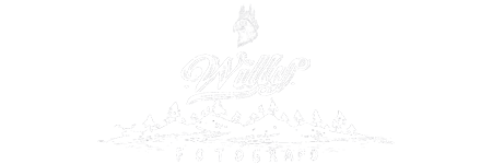 Willy Fotógrafo